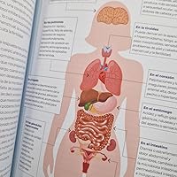 El Equilibrio Perfecto